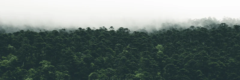 Our environmental commitment to you